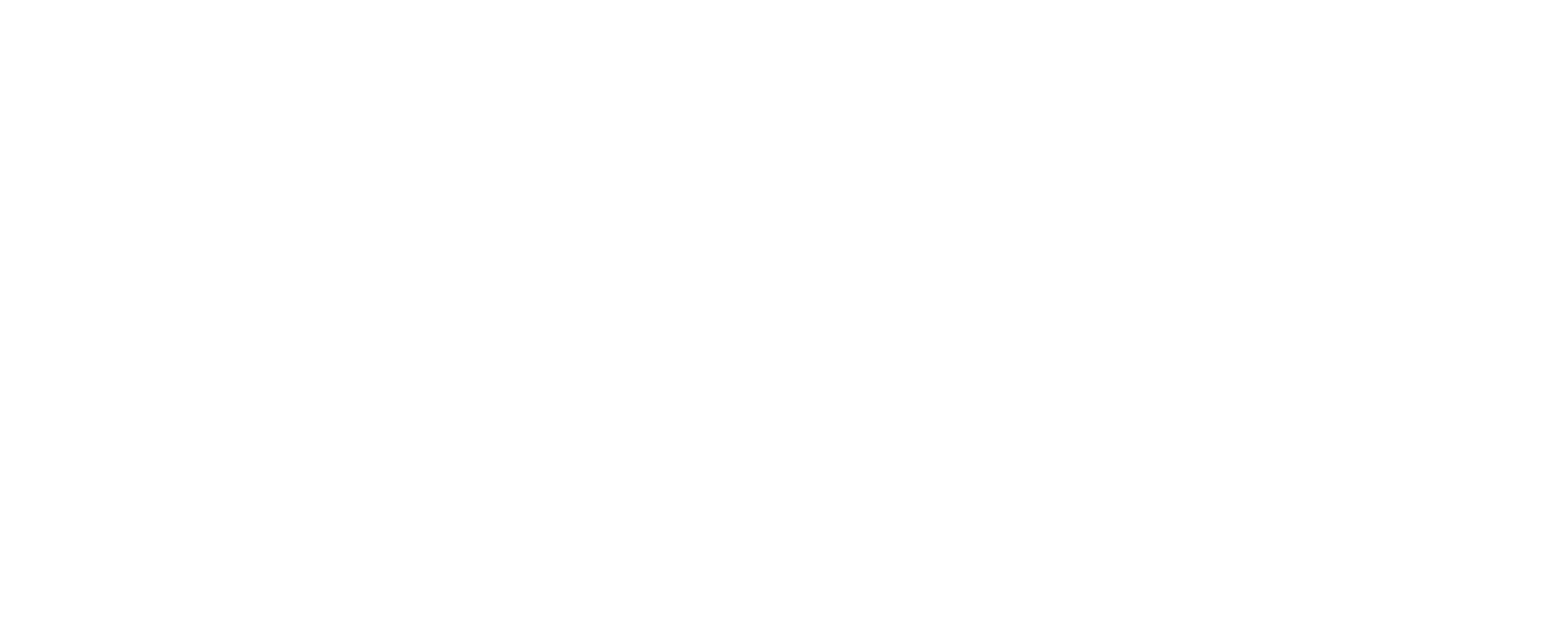Syntral - A Software Company